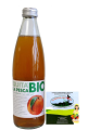 BIBITA BIOLOGICA ICE TEA PEAC